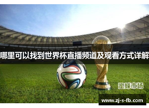 哪里可以找到世界杯直播频道及观看方式详解 哪里可以找到世界杯直播频道及观看方式详解