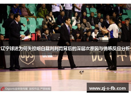 辽宁球迷为何失控明白裁判判罚背后的深层次原因与情感反应分析 辽宁球迷为何失控明白裁判判罚背后的深层次原因与情感反应分析