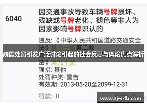 魏震处罚引发广泛讨论引起的社会反思与舆论焦点解析